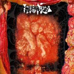 Phyllomedusa : Down-tuned Frog Worship